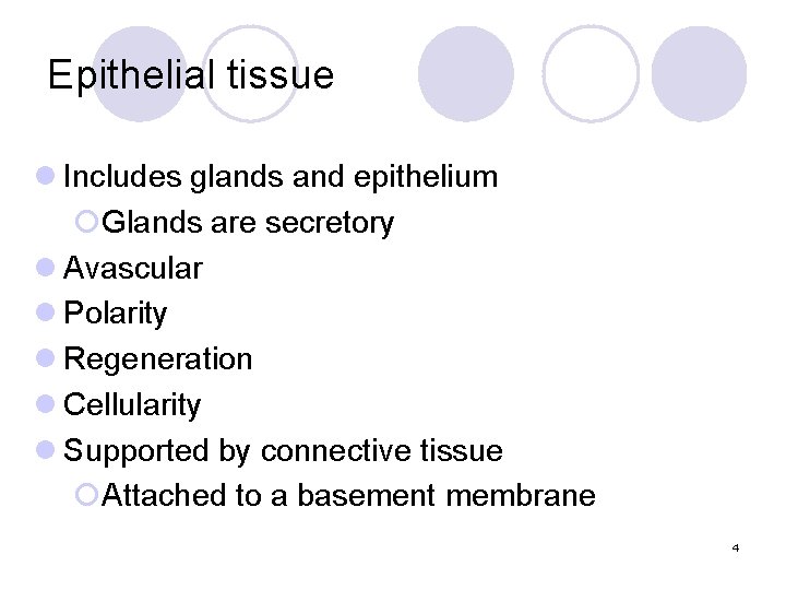 Epithelial tissue l Includes glands and epithelium ¡Glands are secretory l Avascular l Polarity