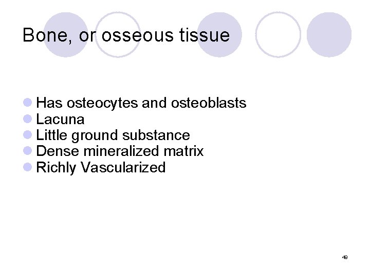 Bone, or osseous tissue l Has osteocytes and osteoblasts l Lacuna l Little ground