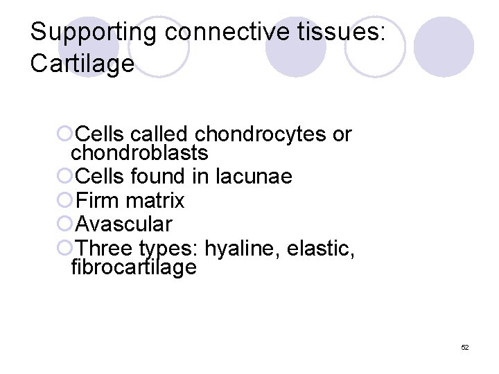 Supporting connective tissues: Cartilage ¡Cells called chondrocytes or chondroblasts ¡Cells found in lacunae ¡Firm