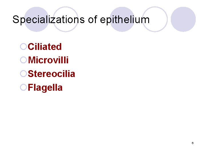 Specializations of epithelium ¡Ciliated ¡Microvilli ¡Stereocilia ¡Flagella 6 