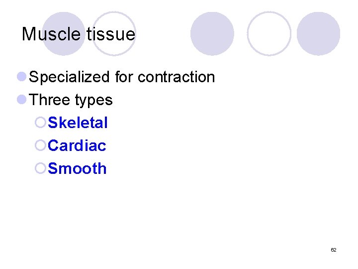 Muscle tissue l Specialized for contraction l Three types ¡Skeletal ¡Cardiac ¡Smooth 62 