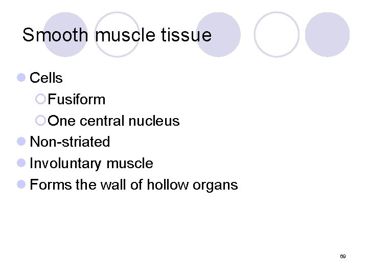 Smooth muscle tissue l Cells ¡Fusiform ¡One central nucleus l Non-striated l Involuntary muscle