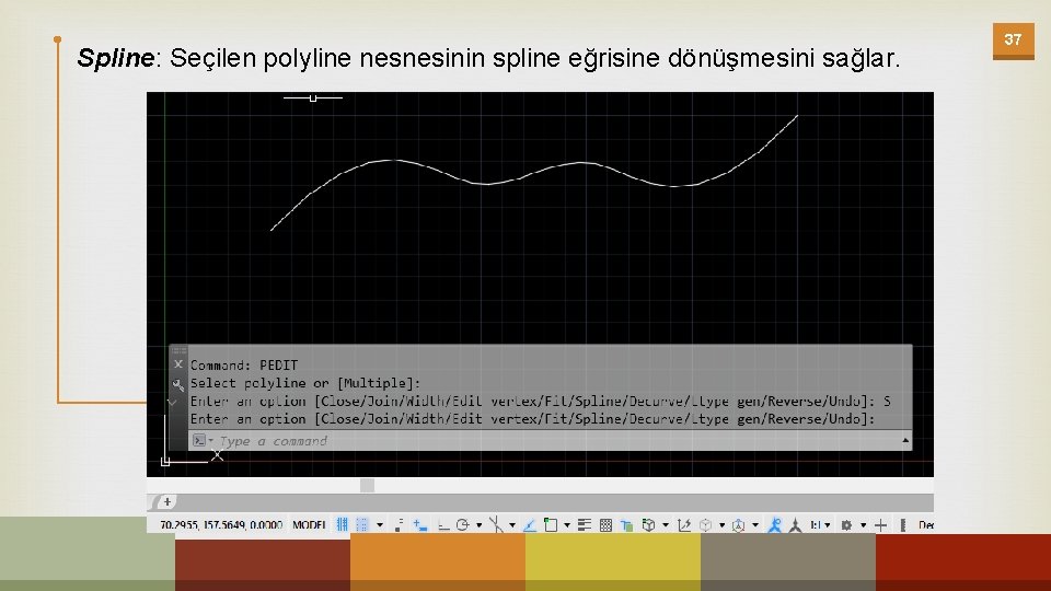 Spline: Seçilen polyline nesnesinin spline eğrisine dönüşmesini sağlar. 37 