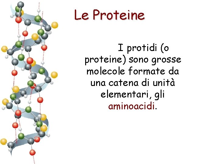 Le Proteine I protidi (o proteine) sono grosse molecole formate da una catena di