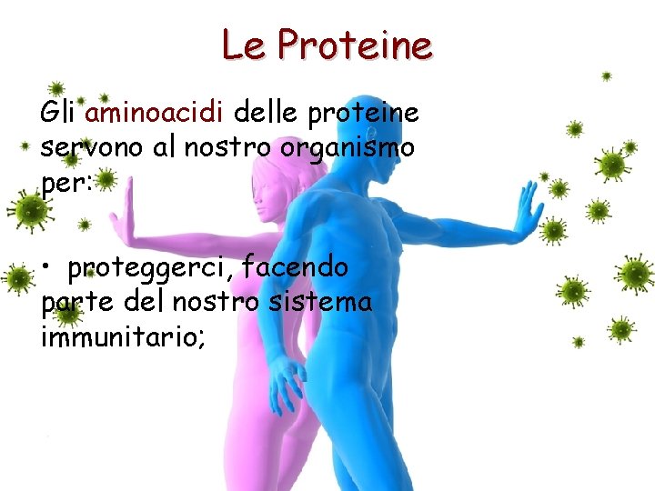 Le Proteine Gli aminoacidi delle proteine servono al nostro organismo per: • proteggerci, facendo