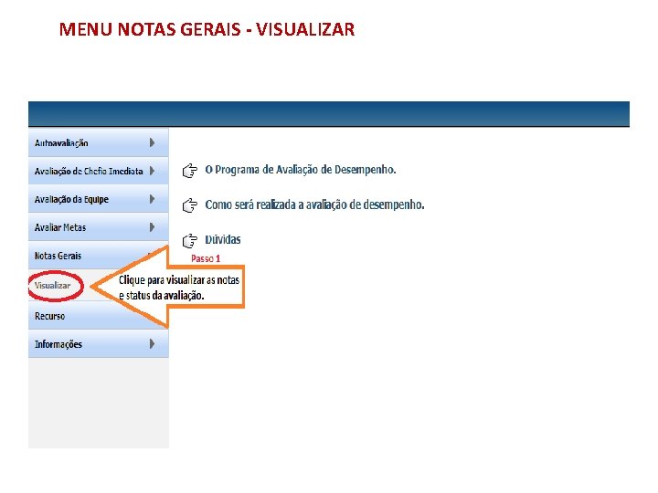 MENU NOTAS GERAIS - VISUALIZAR 