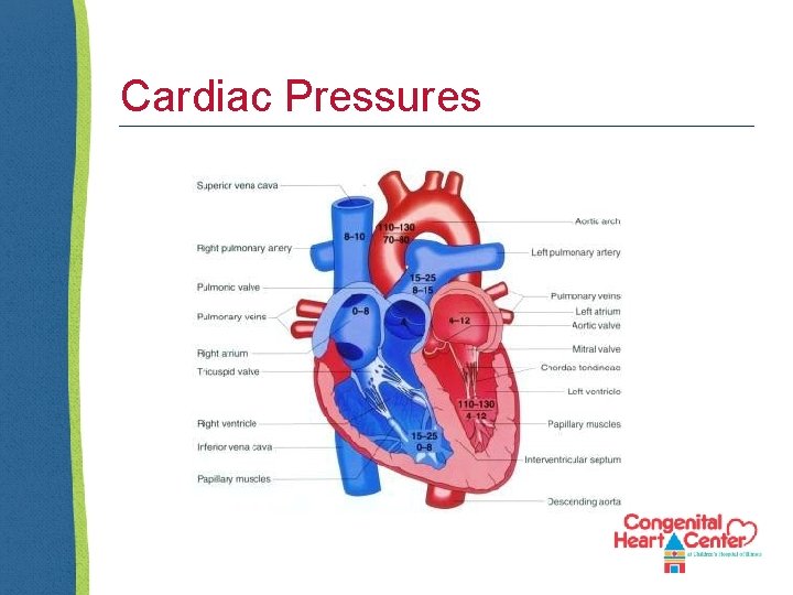 Cardiac Pressures 