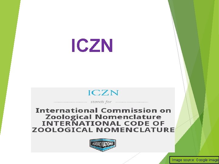 ICZN Image source: Google image 