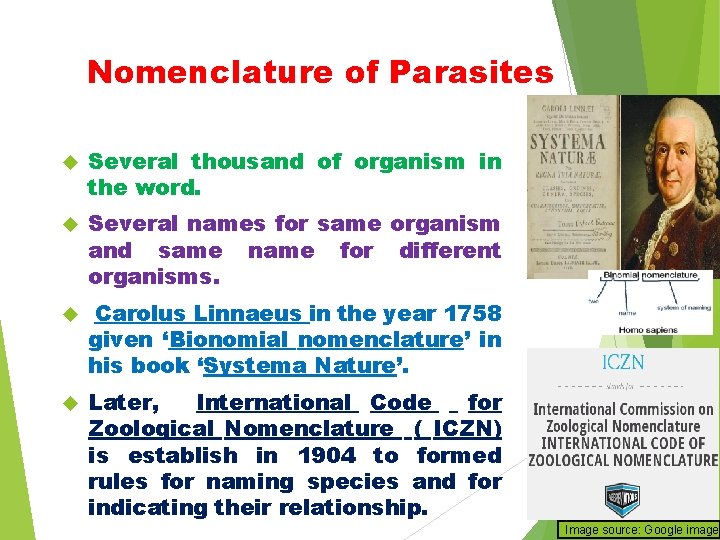 Nomenclature of Parasites Several thousand of organism in the word. Several names for same