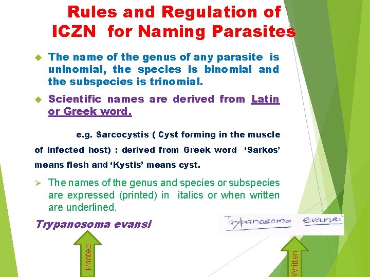 Rules and Regulation of ICZN for Naming Parasites The name of the genus of