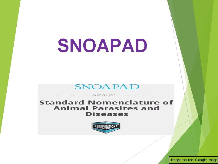 SNOAPAD Image source: Google image 