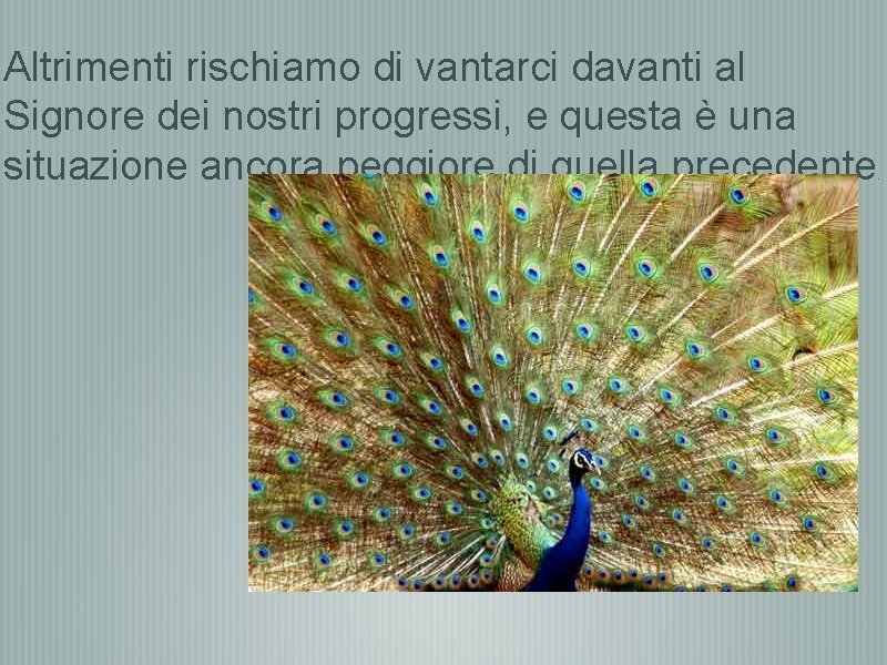 Altrimenti rischiamo di vantarci davanti al Signore dei nostri progressi, e questa è una