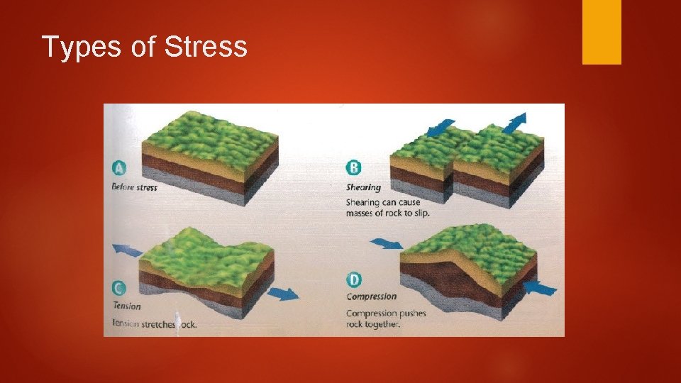 Types of Stress 