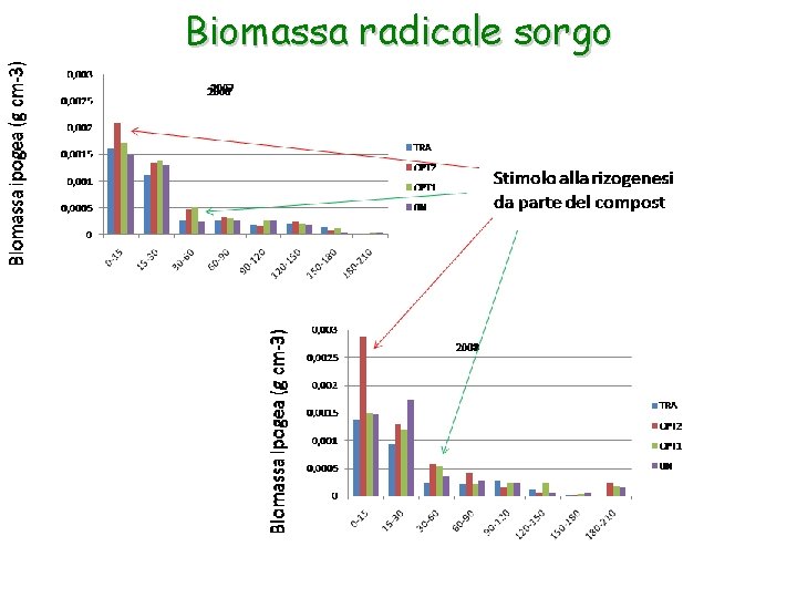 Biomassa radicale sorgo 