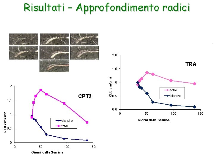 Risultati – Approfondimento radici 2, 0 TRA 2 CPT 2 1, 5 RLD cm/cm