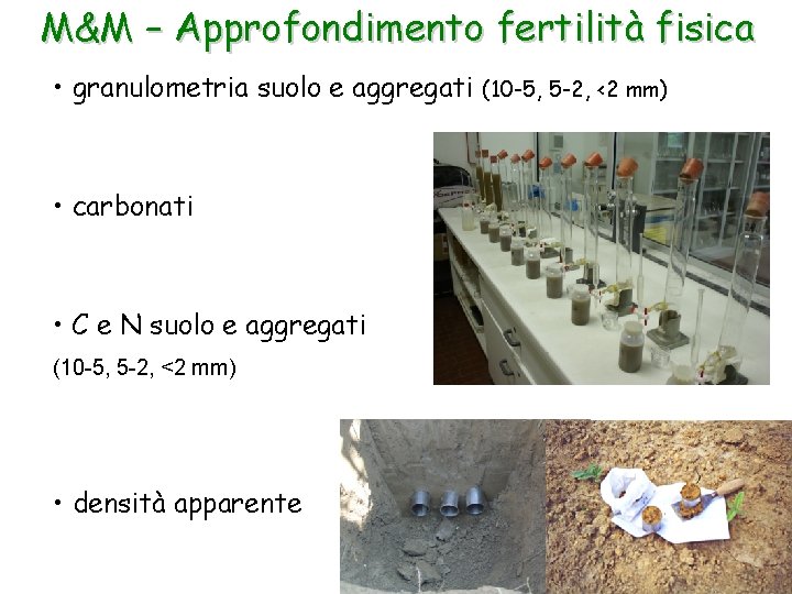 M&M – Approfondimento fertilità fisica • granulometria suolo e aggregati • carbonati • C