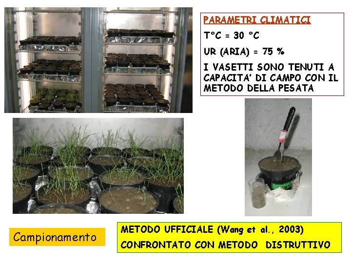 PARAMETRI CLIMATICI T°C = 30 °C UR (ARIA) = 75 % I VASETTI SONO