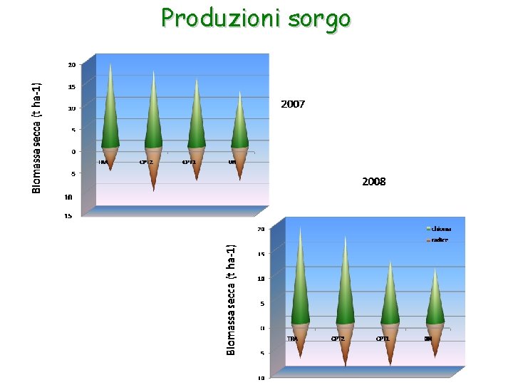 Produzioni sorgo 