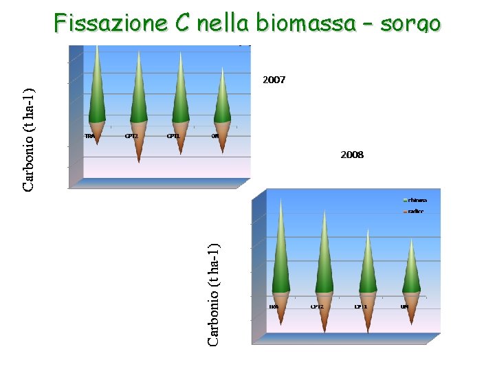 Fissazione C nella biomassa – sorgo 