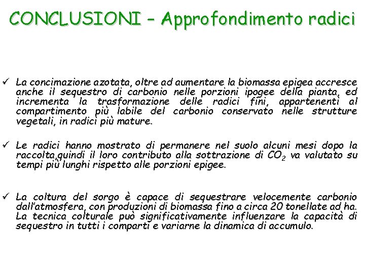 CONCLUSIONI – Approfondimento radici ü La concimazione azotata, oltre ad aumentare la biomassa epigea