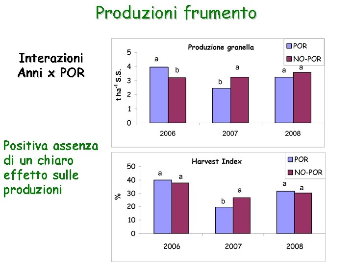 Produzioni frumento Interazioni Anni x POR Positiva assenza di un chiaro effetto sulle produzioni