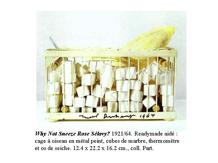 Why Not Sneeze Rose Sélavy? 1921/64. Readymade aidé : cage à oiseau en métal