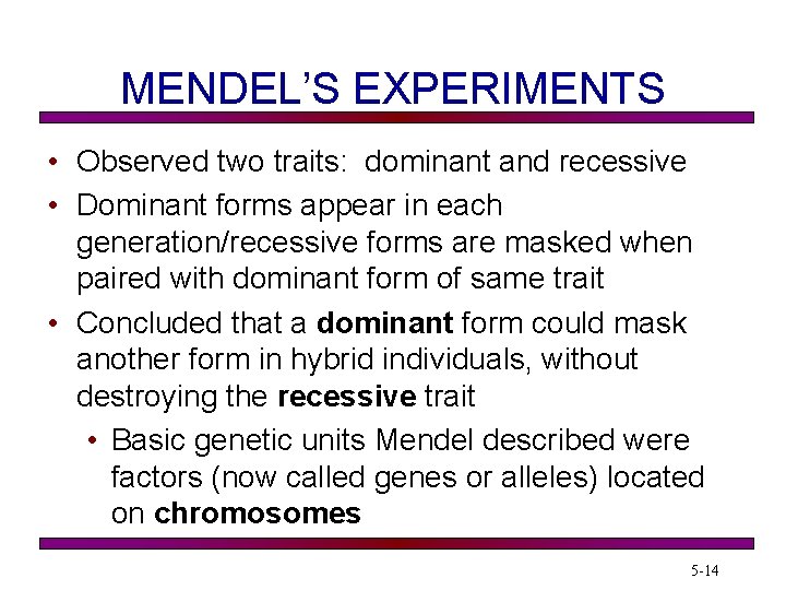 MENDEL’S EXPERIMENTS • Observed two traits: dominant and recessive • Dominant forms appear in