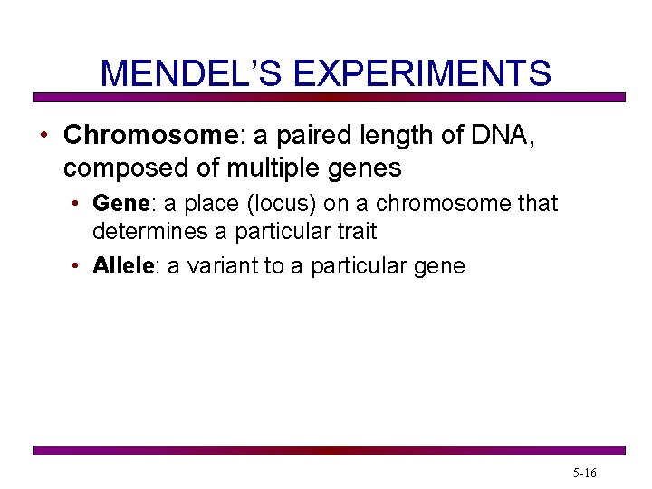 MENDEL’S EXPERIMENTS • Chromosome: a paired length of DNA, composed of multiple genes •