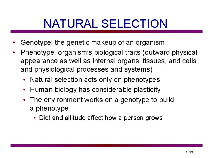 NATURAL SELECTION • Genotype: the genetic makeup of an organism • Phenotype: organism’s biological