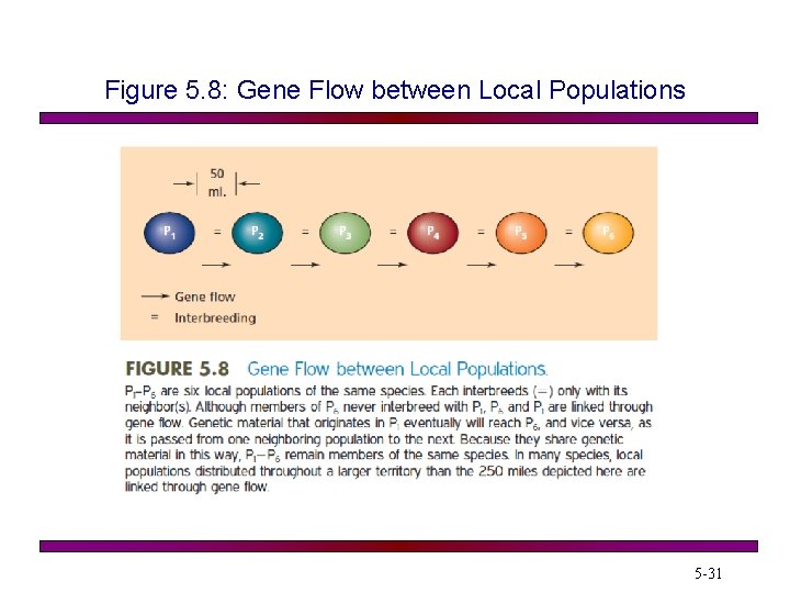 Figure 5. 8: Gene Flow between Local Populations 5 -31 