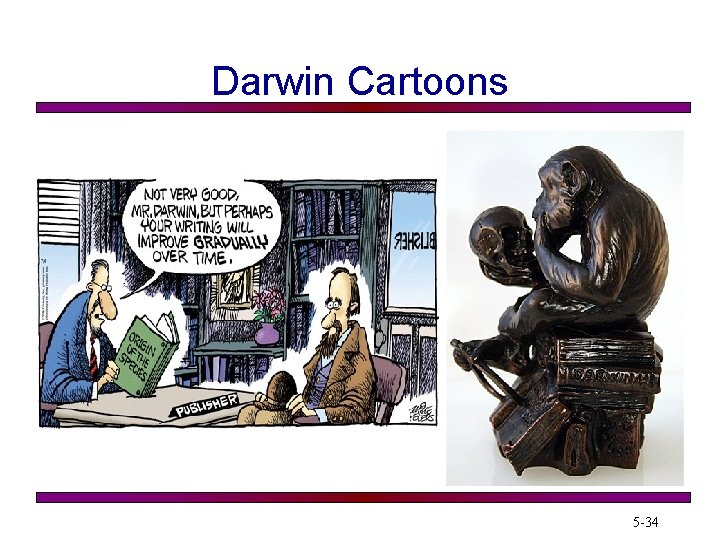 Darwin Cartoons 5 -34 