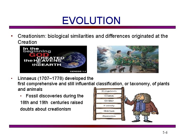 EVOLUTION • Creationism: biological similarities and differences originated at the Creation • Linnaeus (1707–