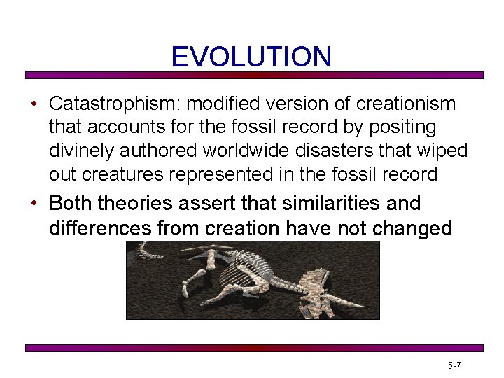 EVOLUTION • Catastrophism: modified version of creationism that accounts for the fossil record by
