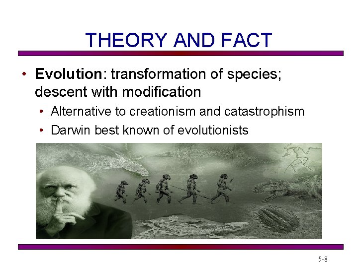 THEORY AND FACT • Evolution: transformation of species; descent with modification • Alternative to