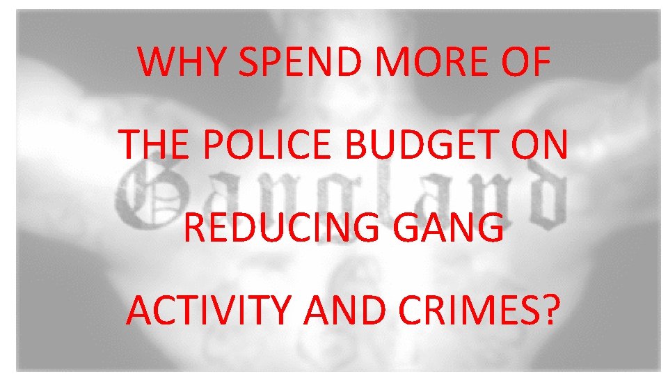WHY SPEND MORE OF THE POLICE BUDGET ON REDUCING GANG ACTIVITY AND CRIMES? 