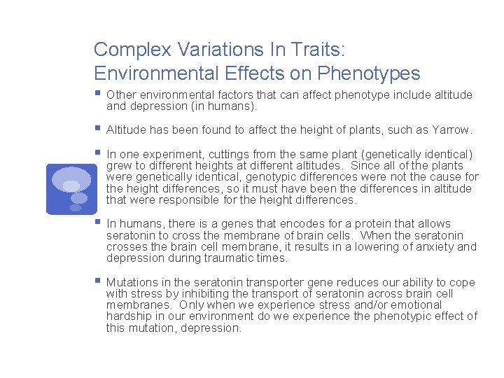 Complex Variations In Traits: Environmental Effects on Phenotypes § Other environmental factors that can