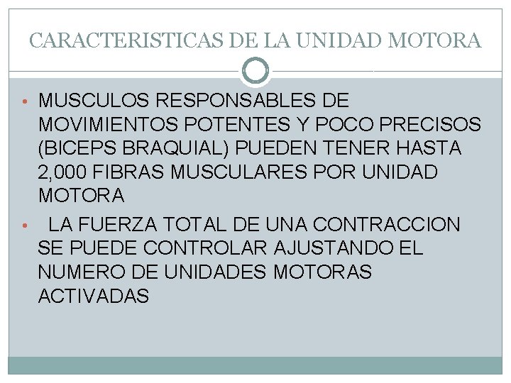 CARACTERISTICAS DE LA UNIDAD MOTORA • MUSCULOS RESPONSABLES DE MOVIMIENTOS POTENTES Y POCO PRECISOS