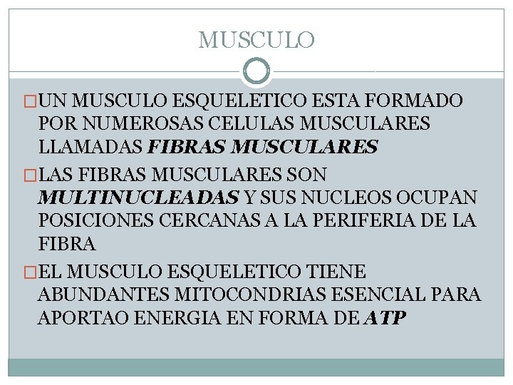 MUSCULO �UN MUSCULO ESQUELETICO ESTA FORMADO POR NUMEROSAS CELULAS MUSCULARES LLAMADAS FIBRAS MUSCULARES �LAS