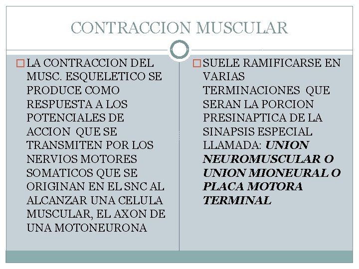 CONTRACCION MUSCULAR � LA CONTRACCION DEL MUSC. ESQUELETICO SE PRODUCE COMO RESPUESTA A LOS