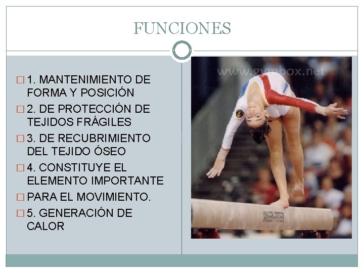 FUNCIONES � 1. MANTENIMIENTO DE FORMA Y POSICIÓN � 2. DE PROTECCIÓN DE TEJIDOS