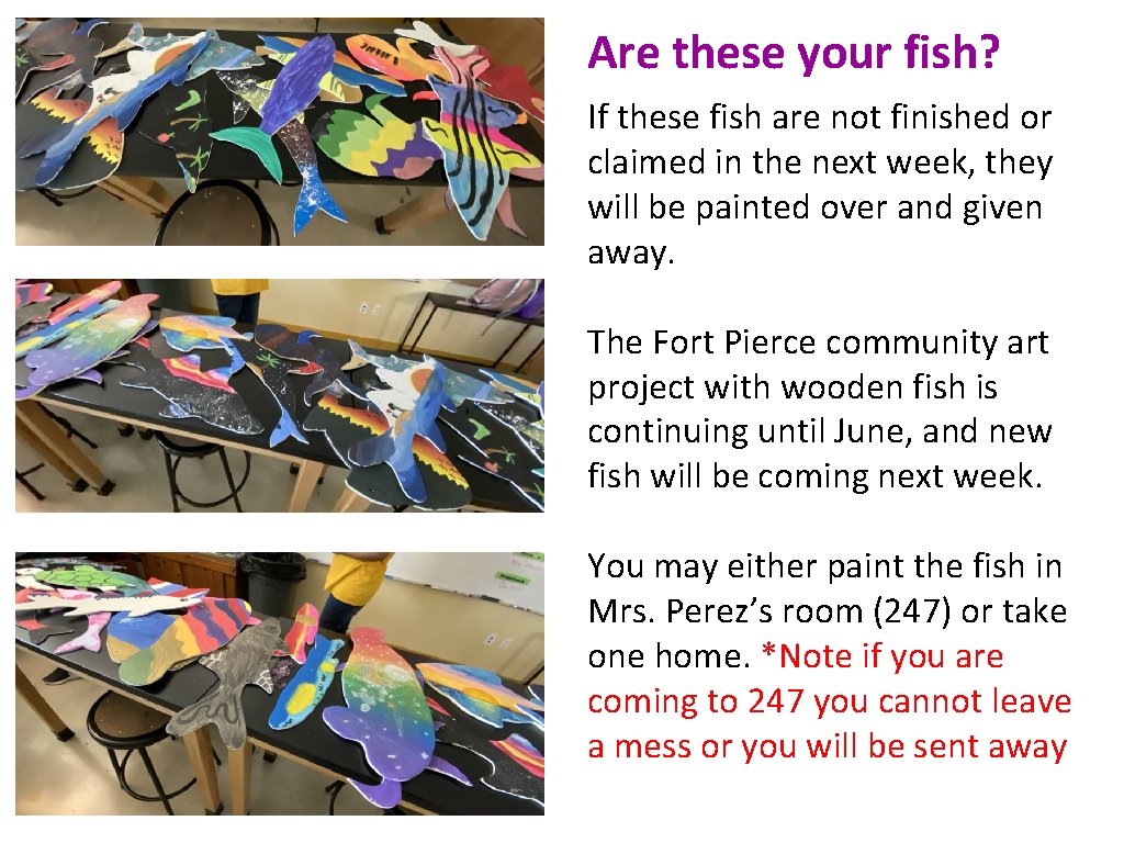 Are these your fish? If these fish are not finished or claimed in the