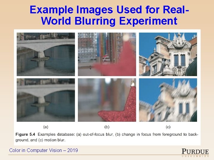Example Images Used for Real. World Blurring Experiment Color in Computer Vision – 2019