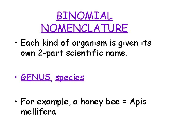BINOMIAL NOMENCLATURE • Each kind of organism is given its own 2 -part scientific