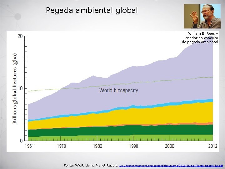 Pegada ambiental global William E. Rees – criador do conceito de pegada ambiental Fonte: