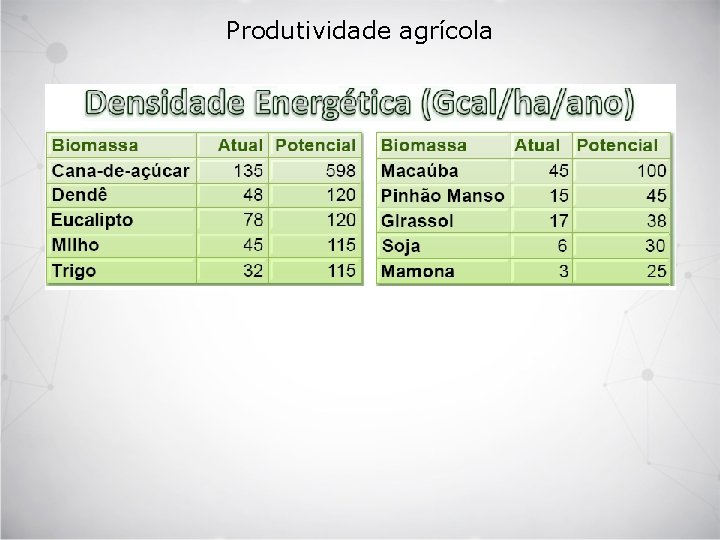 Produtividade agrícola 