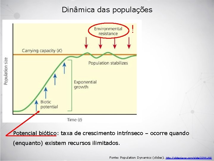 Dinâmica das populações ! Potencial biótico: taxa de crescimento intrínseco – ocorre quando (enquanto)