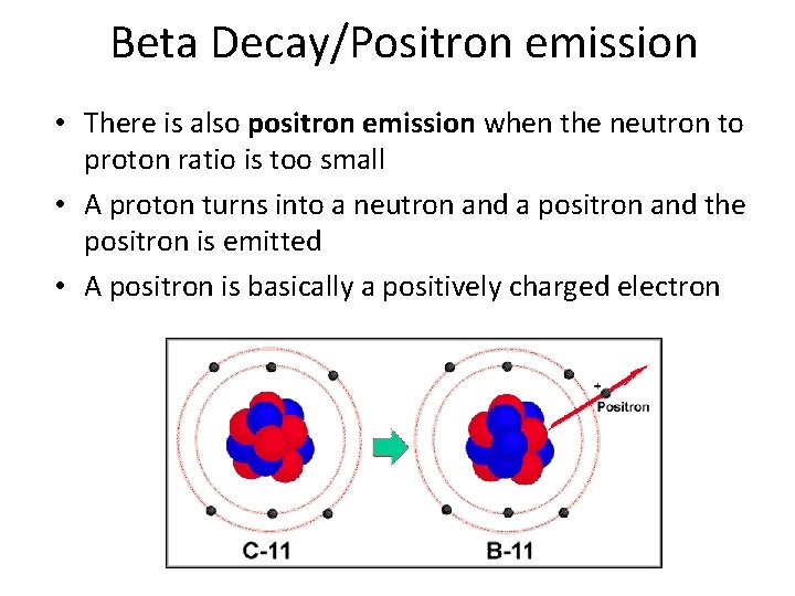 Beta Decay/Positron emission • There is also positron emission when the neutron to proton