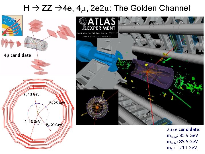 H ZZ 4 e, 4μ, 2 e 2μ: The Golden Channel 4μ candidate PT