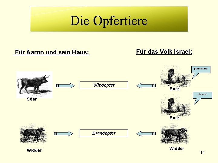 Die Opfertiere Für das Volk Israel: Für Aaron und sein Haus: geschlachtet Sündopfer Bock Die Opfertiere Für das Volk Israel: Für Aaron und sein Haus: geschlachtet Sündopfer Bock