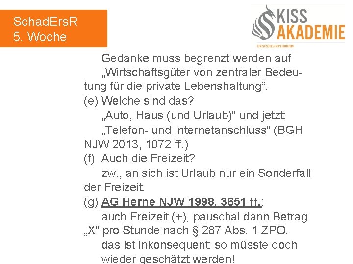 Schad. Ers. R 5. Woche Gedanke muss begrenzt werden auf „Wirtschaftsgüter von zentraler Bedeutung